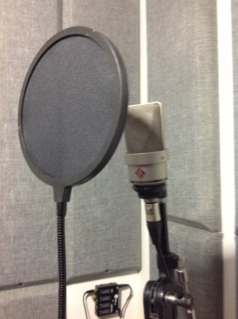 Recording Mic